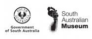 Logo of South Australian Government and South Australian Museum
